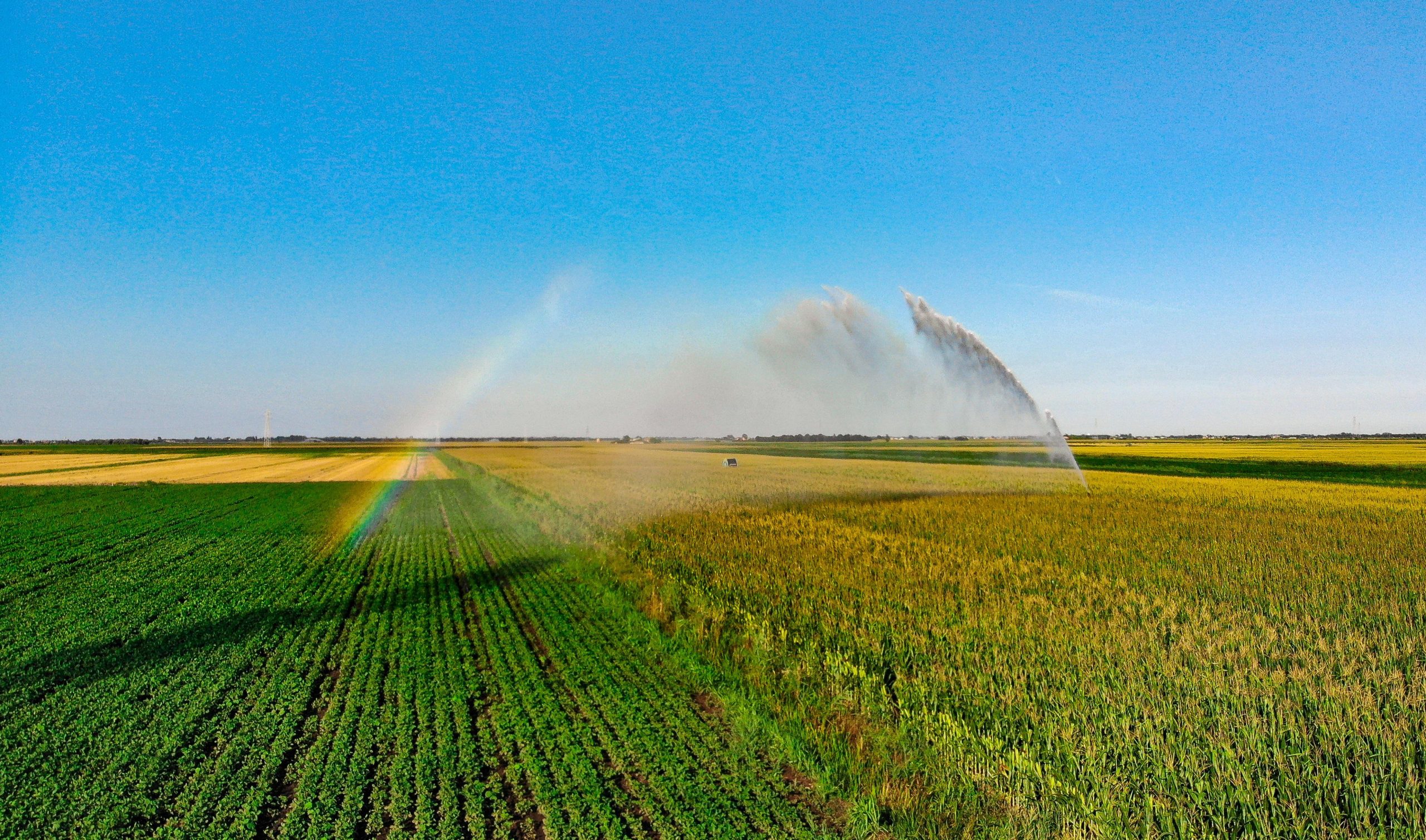 Farm field with sprinkler watering crops