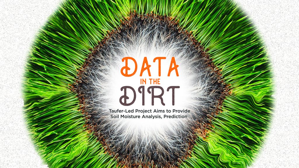 Data in the Dirt header image